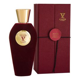 В Канто Цикута