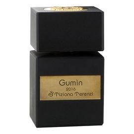 Тициана Терензи Гумин