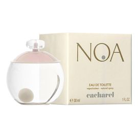 Кашарель Ноа