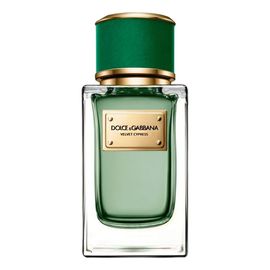 Dolce and Gabbana Velvet Cypress для женщин и мужчин